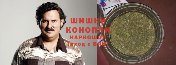 дмт Нея