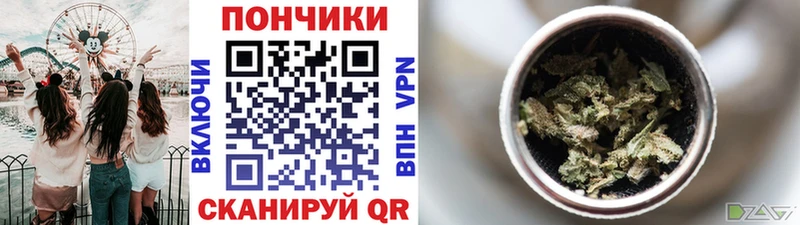 где продают   Весьегонск  Шишки марихуана гибрид 